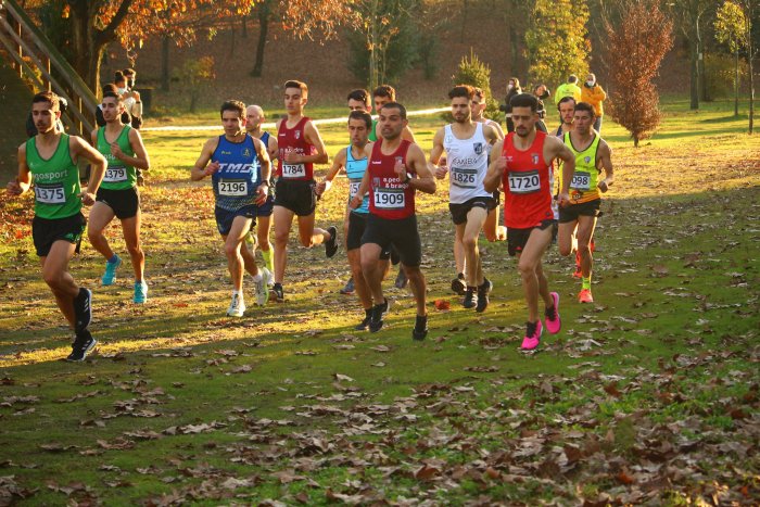 Campeonato Regional de Corta-mato Longo